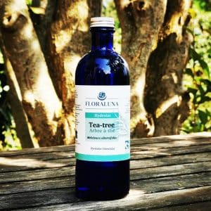 Hydrolat de tea-tree - Floraluna