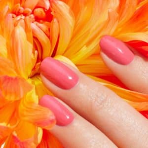 Vernis semi-permanent capucine, couleur vibrante et optimiste, avec une brillance longue durée et une application facile pour des ongles parfaits jusqu'à 12 jours.