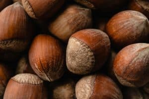huile végétale de noisette